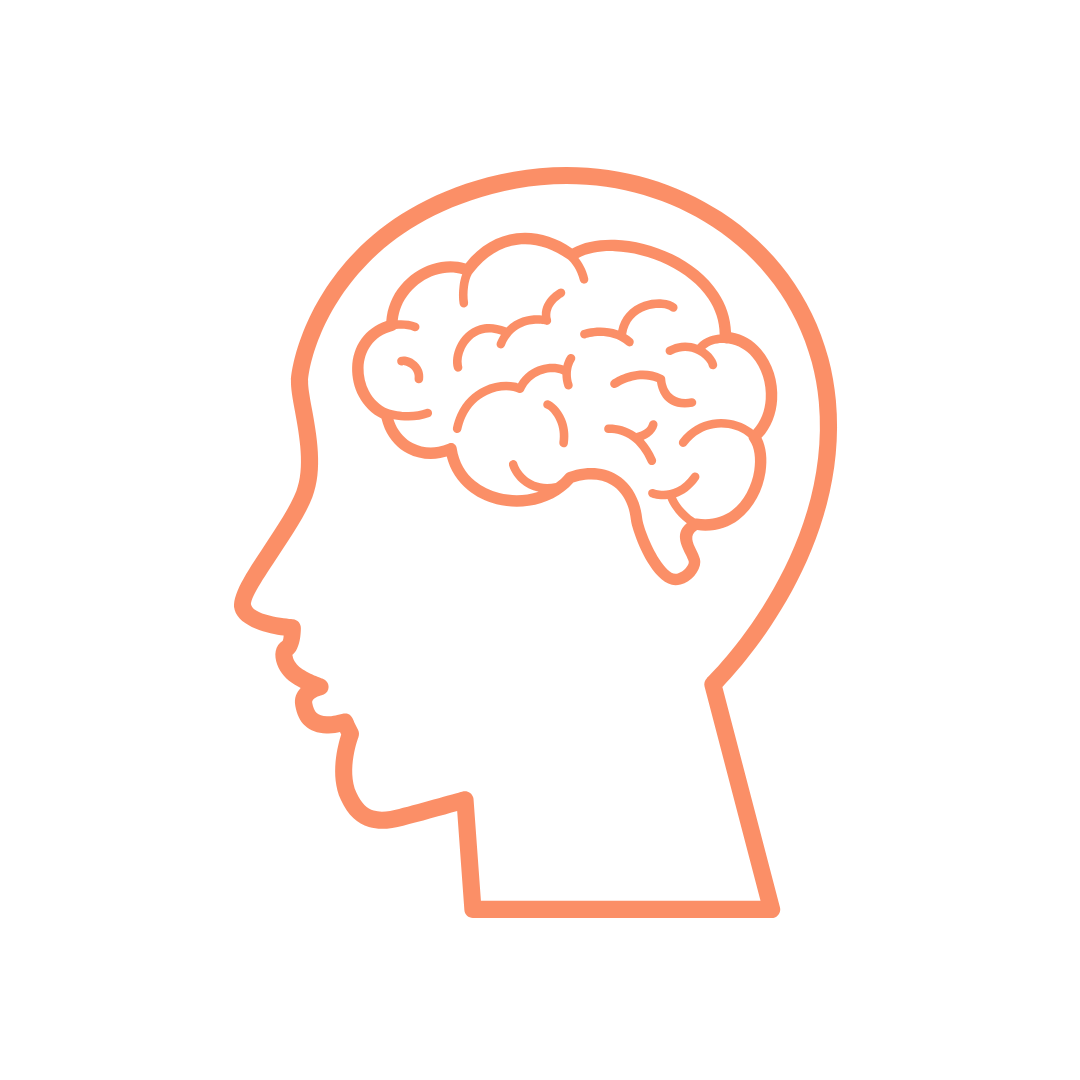 cerveau